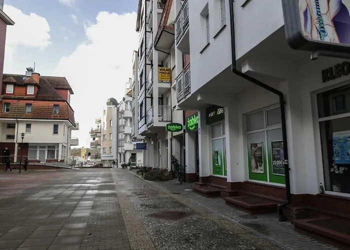 Biala Sowa - Weisse Eule * كولوبرزيغ